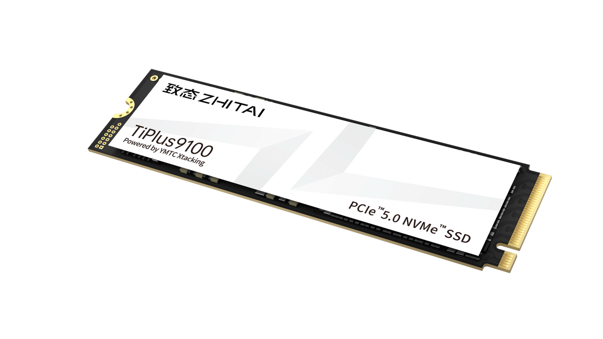 ZhiTai TiPlus9100 1TB M.2 2280 NVMe SSD front view