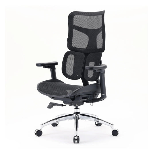 Sihoo S100 Ergonomic Office Chair - Black