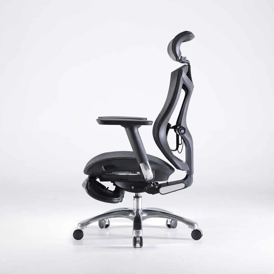 Sihoo V1 Ergonomic Office Chair