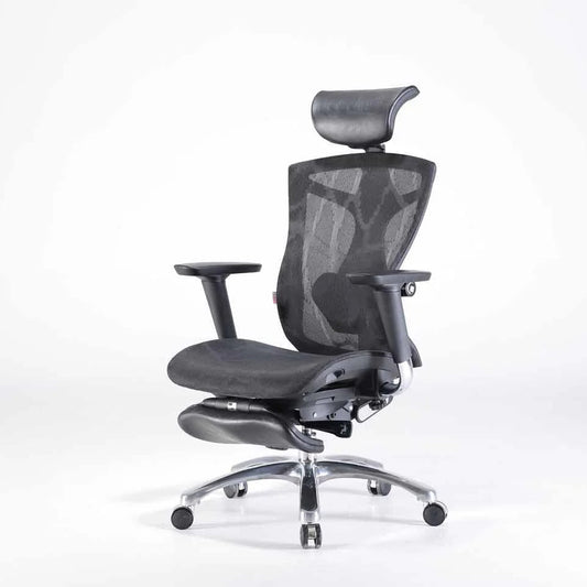 Sihoo V1 Ergonomic Office Chair