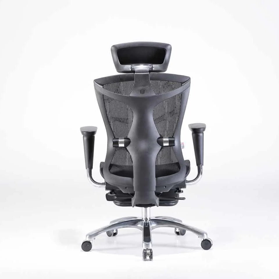 Sihoo V1 Ergonomic Office Chair